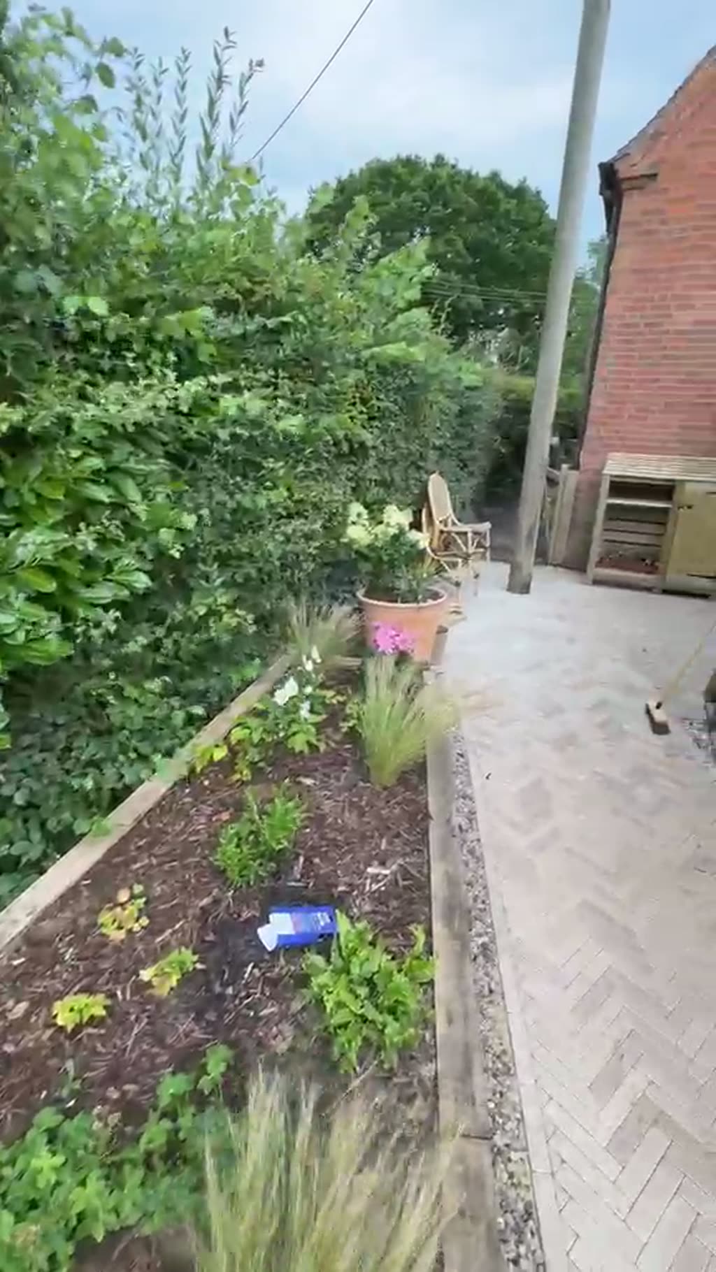 Walkthrough of a large porcelain patio with planted borders and a new timber trellis screen